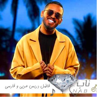 دانلود آهنگ فاضل دریس عربی و فارسی ۱۴۰۳ – ۲۰۲۴ ( گلچین تمام آهنگ های فاضل دریس