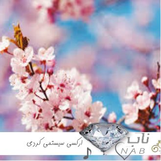 دانلود آهنگ ارکسی سیستمی ریمیکس کردی 1403 - 2024