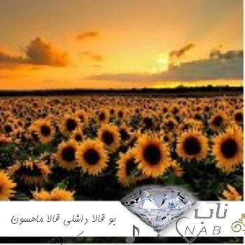 دانلود آهنگ ترکی بو قالا داشلی قالا ماهسون کنسرت دانلود آهنگ ترکی بو قالا داشلی قالا ماهسون کنسرت
