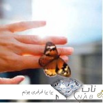 دانلود آهنگ بیا بیا فرفری جونم آرش اینستاگرام دانلود آهنگ بیا بیا فرفری جونم آرش اینستاگرام