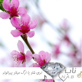 دانلود آهنگ لری شاد با ارگ میلاد بیرانوند 1403 - 2024 دانلود آهنگ لری شاد با ارگ میلاد بیرانوند 1403 - 2024