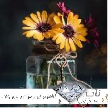 دانلود آهنگ کافامین ایچی سیام و ابرو یاشار ریمیکس ( کافامین ایچی آله واله بنی دور دور ) دانلود آهنگ کافامین ایچی سیام و ابرو یاشار ریمیکس ( کافامین ایچی آله واله بنی دور دور )