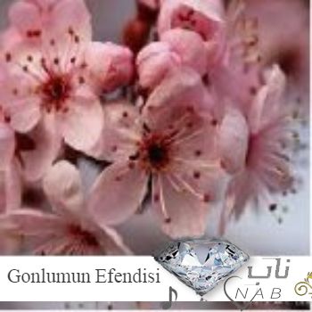 دانلود آهنگ Ebru Gündeş Gonlumun Efendisi