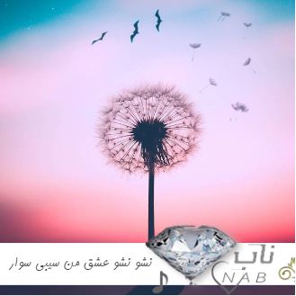دانلود آهنگ نشو نشو عشق من سیبی سوار مجید احمدی اصلی و ریمیکس