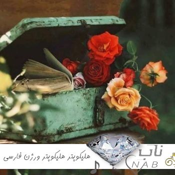 دانلود آهنگ هلیکوپتر هلیکوپتر ورژن فارسی ( ریمیکس اینستا ترند چالش ) دانلود آهنگ هلیکوپتر هلیکوپتر ورژن فارسی ( ریمیکس اینستا ترند چالش )