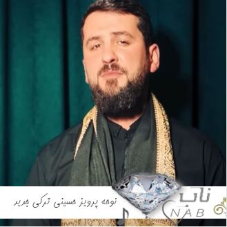 دانلود نوحه پرویز حسینی ترکی جدید معروف ۱۴۰۳ Parviz Hosseini