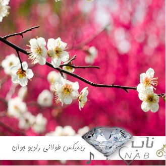 دانلود آهنگ جدید ۱۴۰۳ ریمیکس برای ماشین طولانی رادیو جوان ۲۰۲۵