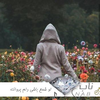 دانلود آهنگ تو شمع باشی دلم پروانته هوش مصنوعی حمیرا با صدای زن + مرد