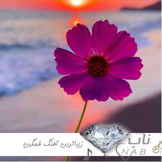 دانلود زیباترین آهنگ ترکی برای استوری غمگین ۲۰۲۴ -۱۴۰۳ دانلود زیباترین آهنگ ترکی برای استوری غمگین ۲۰۲۴ -۱۴۰۳