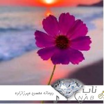 دانلود آهنگ دومانه دومانه سریال هشت و نیم دقیقه محسن میرزازاده دانلود آهنگ دومانه دومانه سریال هشت و نیم دقیقه محسن میرزازاده
