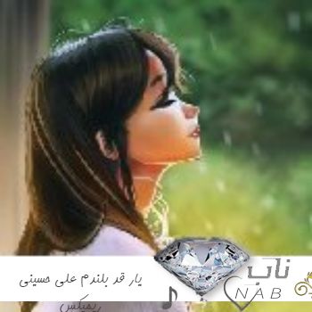دانلود آهنگ یار قد بلندم علی حسینی + ریمیکس