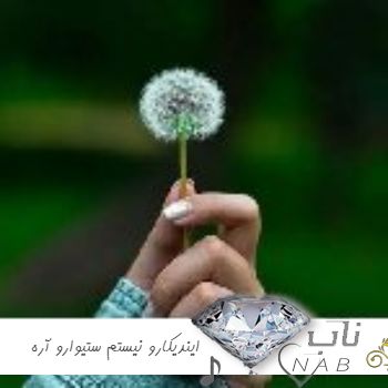 دانلود آهنگ ایندیکارو نیستم ستیوارو آره آرتا و کوروش ریمیکس اینستا By Arta & Koorosh