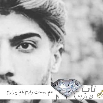 دانلود آهنگ هم دوست دارم هم بیزارم ازت ( ریمیکس کامل امیر لیام )
