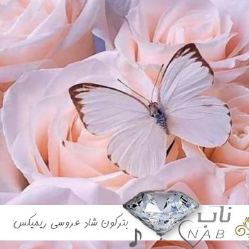 دانلود آهنگ بترکون شاد عروسی واسه رقص ۱۴۰۳ – ۲۰۲۴ ریمیکس خفن دانلود آهنگ بترکون شاد عروسی واسه رقص ۱۴۰۳ – ۲۰۲۴ ریمیکس خفن