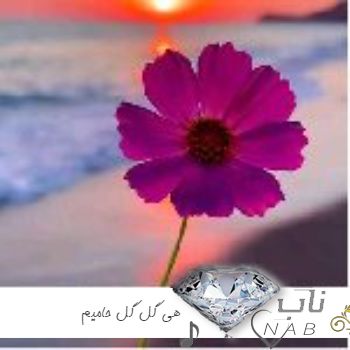 دانلود آهنگ هی گل گل حامیم کامل اصلی و ریمیکس