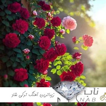 دانلود زیباترین آهنگ ترکی شاد ۱۴۰۳ ( اهنگ شاد ترکی برای ماشین باحال یکجا ۲۰۲۴ )