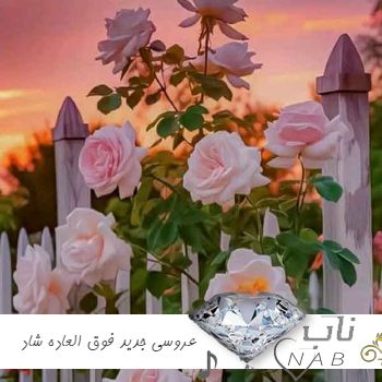 دانلود آهنگ عروسی (جدید ولی فوق العاده شاد) ریمیکس ۱۴۰۳ زیباترین آهنگ عروسی ۲۰۲۴ دانلود آهنگ عروسی (جدید ولی فوق العاده شاد) ریمیکس ۱۴۰۳ زیباترین آهنگ عروسی ۲۰۲۴
