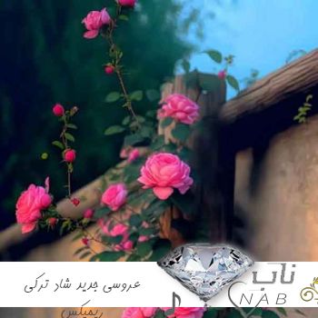 دانلود آهنگ عروسی (جدید ولی فوق العاده شاد) ترکی ۱۴۰۳ ریمیکس یکجا ۲۰۲۴