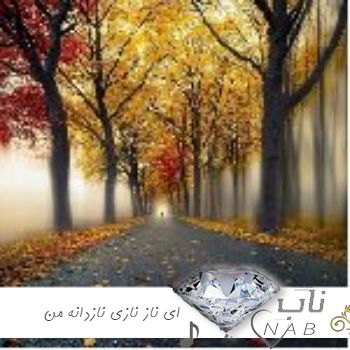 دانلود آهنگ ای ناز نازی نازدانه من قاسم فاضلی دانلود آهنگ ای ناز نازی نازدانه من قاسم فاضلی