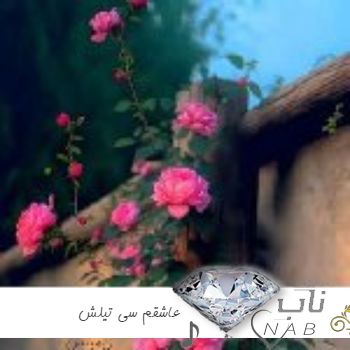 دانلود آهنگ فرشید حکمتی عاشقم سی تیلش لری معروف اینستا