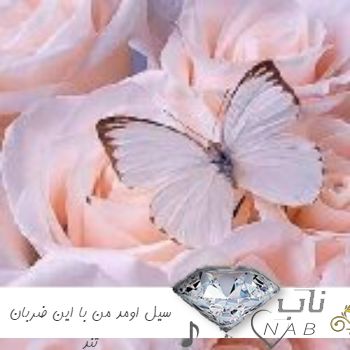 دانلود آهنگ سیل اومد من با این ضربان تند رفیقم با سوت گوشام ریمیکس غمگین اینستا دانلود آهنگ سیل اومد من با این ضربان تند رفیقم با سوت گوشام ریمیکس غمگین اینستا