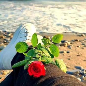 آهنگ لابد دوست داشتم اگه بعد تو شب ها رو نمیخوابیدم هوش مصنوعی با صدای زن ریمیکس آهنگ لابد دوست داشتم اگه بعد تو شب ها رو نمیخوابیدم هوش مصنوعی با صدای زن ریمیکس